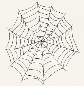 spinnennetz